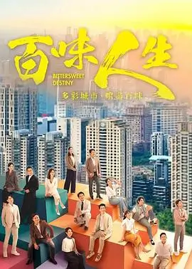 雾港纪事 热播电视剧全集免费在线观看